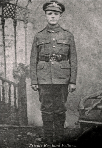 Photo of Rowland Fellows